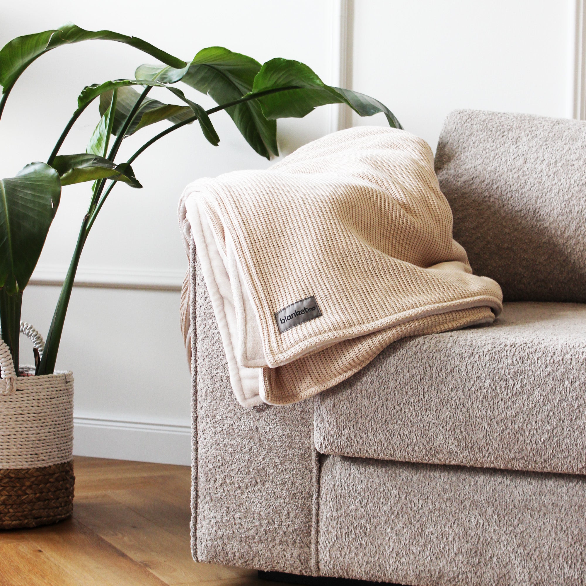 Kuscheldecke mit Baumwollstrick · Creme