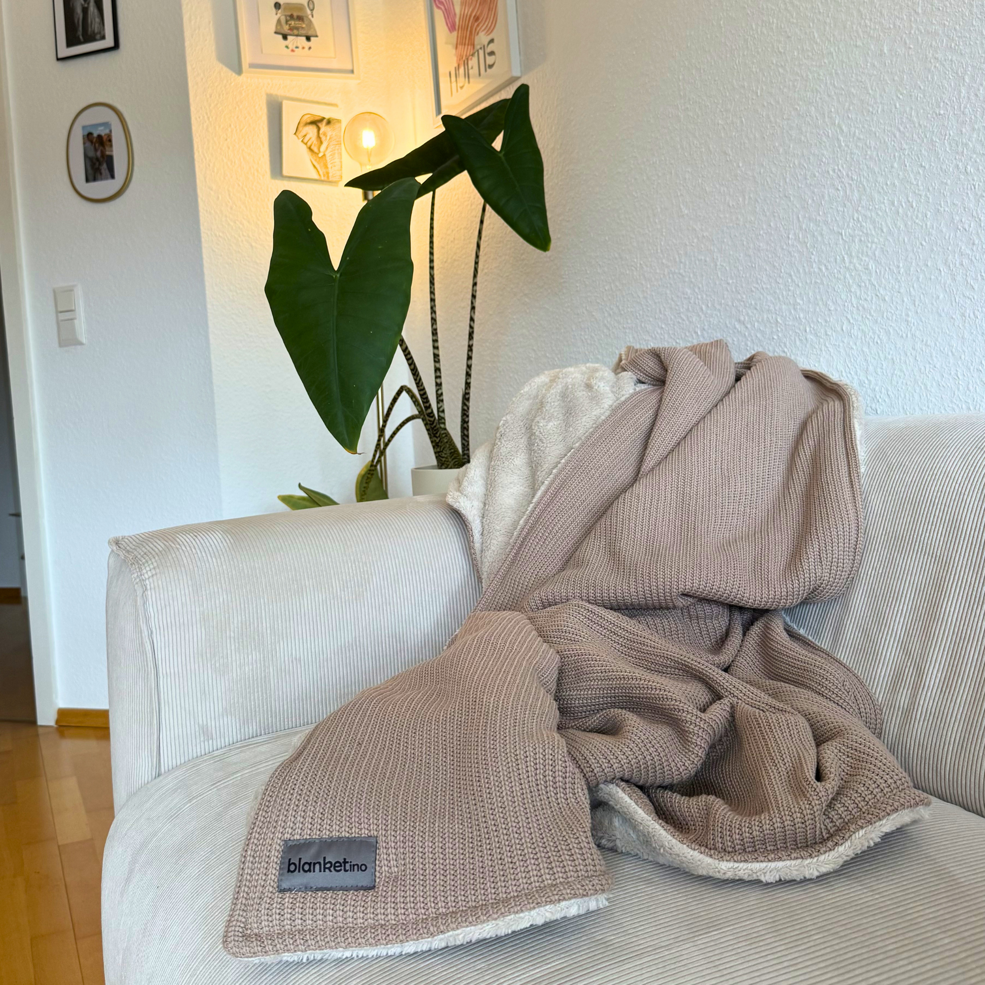 Kuscheldecke mit Baumwollstrick · Mandel-Beige